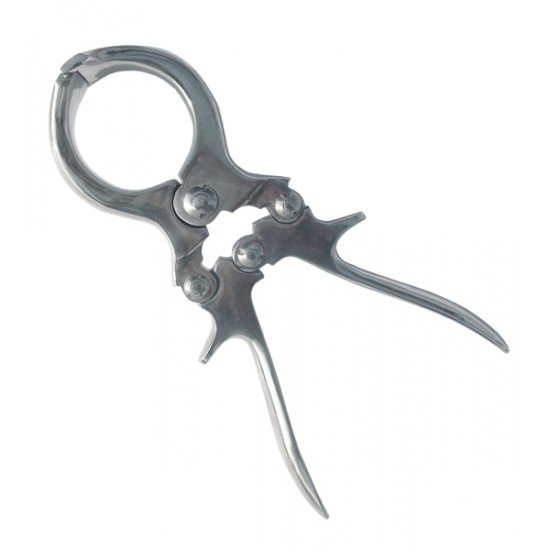 Burdizzo Bloodless Castrator. S.S Burdizzo Bloodless Castrator. S.S