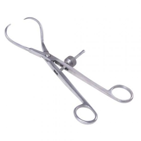Fragment Forceps With Spinal Lock S.S Fragment Forceps With Spinal Lock S.S